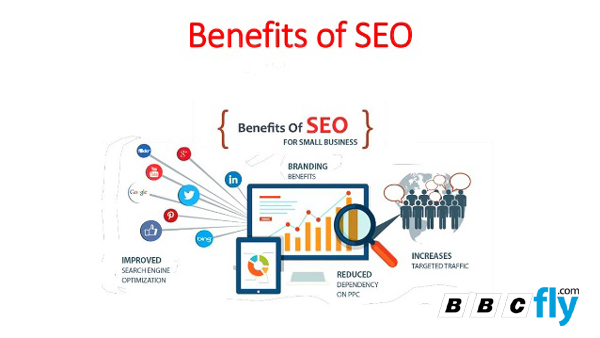 What is SEO & How do I do SEO for my website?
