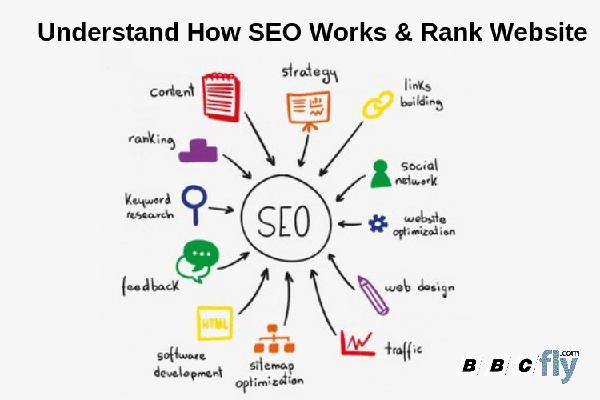 What is SEO & How do I do SEO for my website?